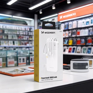 Wozinsky W11-W 10000mAh 10W akupank sisseehitatud kaablite ja taskulambiga - valge