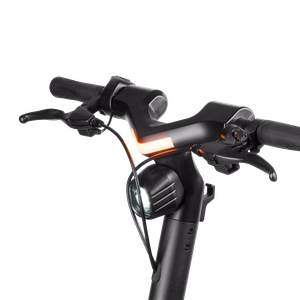 Elektriline tõukeratas REBEL FAST WHEELS PRO MAX
