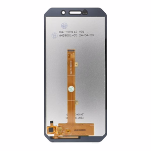 FixCell LCD Display jaoks DOOGEE S61 Pro OEM without frame
