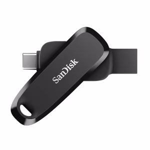 USB-C mälupulk SANDISK 256GB SDDDC6-256G-G46