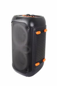 Esperanza EP156 BT FM LED RGB KARAOKE kõlar must 20W