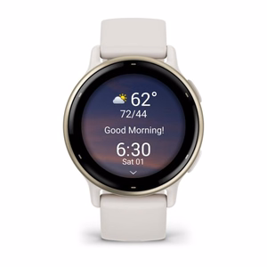 Nutikell Garmin Vivoactive 5 elevandiluuvärvi/kuldne 010-02862-11
