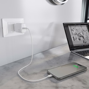 Puro Daily Prolite 25W USB-C Power Delivery зарядное устройство - белый