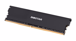 Biostar DDR4 Storming V mälumoodul 8 GB 1 x 8 GB 3200 MHz (DX32NU4H08)