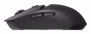 Logitech G 910-007199 mänguhiir parema käe RF juhtmevaba + Bluetooth optiline 2560 DPI
