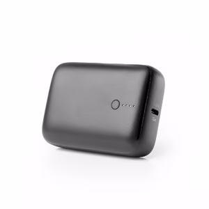 Akupank POWER BANK Platinet 10000mAh (1xUSB; 1xType-C; 20W) must