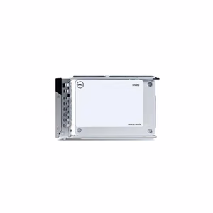 Dell (Dell SSD 2.5" / 960GB / NVMe / RI / U.2 Gen4 / Hot-Plug / 15G)