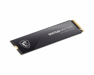 SSD ketas MSI SPATIUM M571 DLP 2TB PCIe 5.0 NVMe M.2 lugemine 14500 MB/s kirjutamine 11000 MB/s
