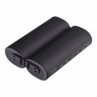 Powerbank Veger W0587 2,4A 2 pcs 2 x 5000 mAh with hand warmer must and hõbedane