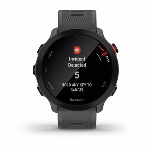 Garmin Forerunner 55 MIP 42 mm Digital 208 x 208 pixels Touchscreen Grey GPS (satellite)