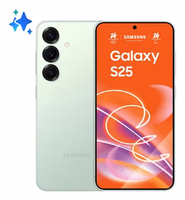 Samsung Galaxy S25 256GB mündi