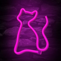Neon LED Light CAT roosa Bat + USB FLNE04 Forever Light