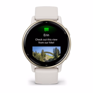 Nutikell Garmin Vivoactive 5 elevandiluuvärvi/kuldne 010-02862-11