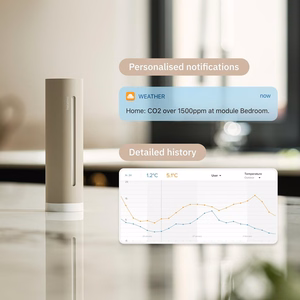 Netatmo NWS-S – nutikas ilmajaam, liivakarva