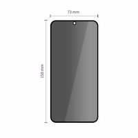 Tech-Protect Glass Spy+ 2-pack privaatsus glass jaoks Samsung Galaxy S25 FE