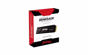 Kingston Technology 2000G RENEGADE PCIe 4.0 NVMe SSD jahutusradiaatoriga