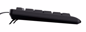 Trust TK-150 universaalne klaviatuur USB QWERTY must