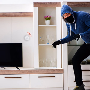 Alpina Zigbee nutikas PIR-liikumisandur
