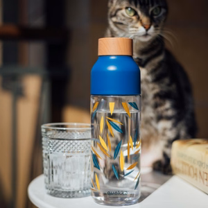Quokka Ice Ecozen joogipudel, 720 ml, Bambus