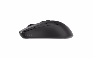 Gembird Dual-mode mouse MUSW2-7B-01 Wireless 2.4G, Bluetooth Black