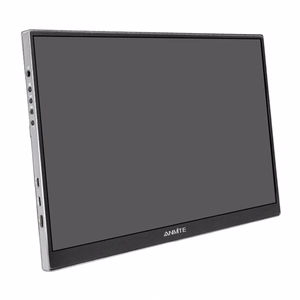 ANMITE A160W04H 16" kaasaskantav monitor