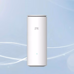 ZTE Z1320 juhtmevaba ruuter Gigabit Ethernet kahesageduslik (2.4 GHz / 5 GHz) valge