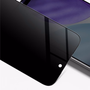 AmazingThing Radix Privaatsus Karastatud klaas jaoks iPhone 17 Pro Max