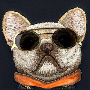 Nimmy Glasses Cool Dog iPhone 16 Ümbris - Must