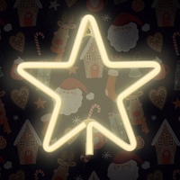 Neon LED jõulutäht soe valge FLNE22 Forever Light