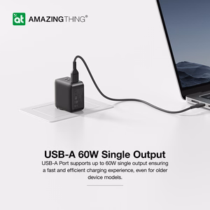 Amazing Thing Wall laadija Thunder Pro GaN EUTH66W - USB + 2xType C - PD 66W must