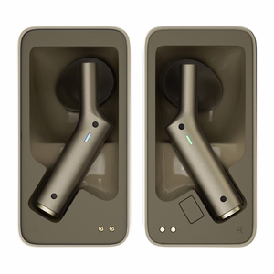 TIMEKETTLE W4 Translation Earbuds (Gold)