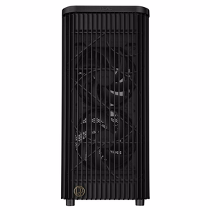 ASUS ProArt PA401 võrkpaneel, must