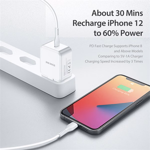 Wall laadija Dux Ducis C100 - Type C - PD 30W 3A valge