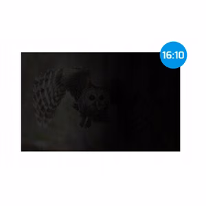 Natec Owl NFP-2477 – 14-tolline 16:10 privaatsusfilter
