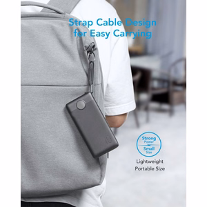 Powerbank Veger C10 (W1116) 10000 mAh with built-in Micro-USB cables / Typ C / Lightning must