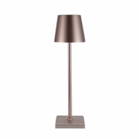 Night lamp WDL-02 juhtmevaba pruun