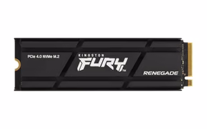 Kingston Technology 4000G RENEGADE PCIe 4.0 NVMe SSD jahutusradiaatoriga