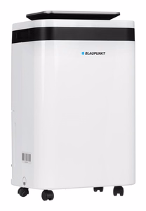 Dehumidifier with air purification function