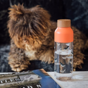 Quokka Ice Ecozen joogipudel, 720 ml, Linnud