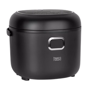 TEESA reisimultikeetja ja riisikeetja, 2 l, 12–24 V / 230 V, 350 W
