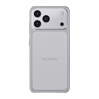 HOTWAV A17 Pro Max nutitelefon (hõbedane)