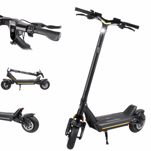Elektriline tõukeratas REBEL FAST WHEELS PRO MAX