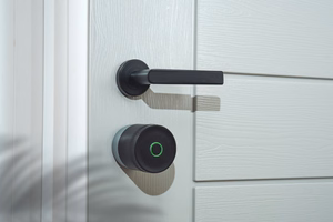 Yale Linus Smart Lock L2 Lite - smart door lock (hõbedane)