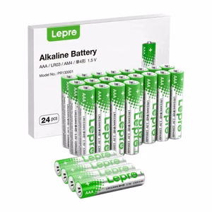 LEPRO 130001-24 AAA R3 leelispatareid, 24 tk pakend
