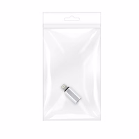 Adapter Type C (female) to Lightning (male) hõbedane