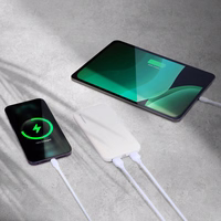 Wozinsky Powerbank Li-Po 10000mAh 2 x USB valge (WPBWE1)