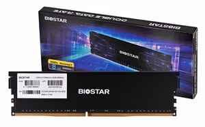 Biostar DDR4 Storming V mälumoodul 8 GB 1 x 8 GB 3200 MHz (DX32NU4H08)