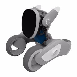 Loona Premium interaktiivne robot