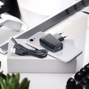Charger Blue Star Lite 10W USB-A + USB-A to USB-C cable black