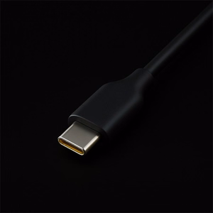 Qoltec 52419 65W GaN ülikiiret laadimist toetav laadija | 5-20V | 3-3.25A | USB-C 3.1